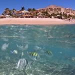 SWIMMING & SNORKELING