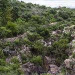 El Charco del Ingenio Jardín Botánico