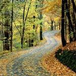 Percy Warner Park