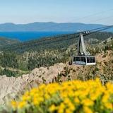 Palisades Tahoe