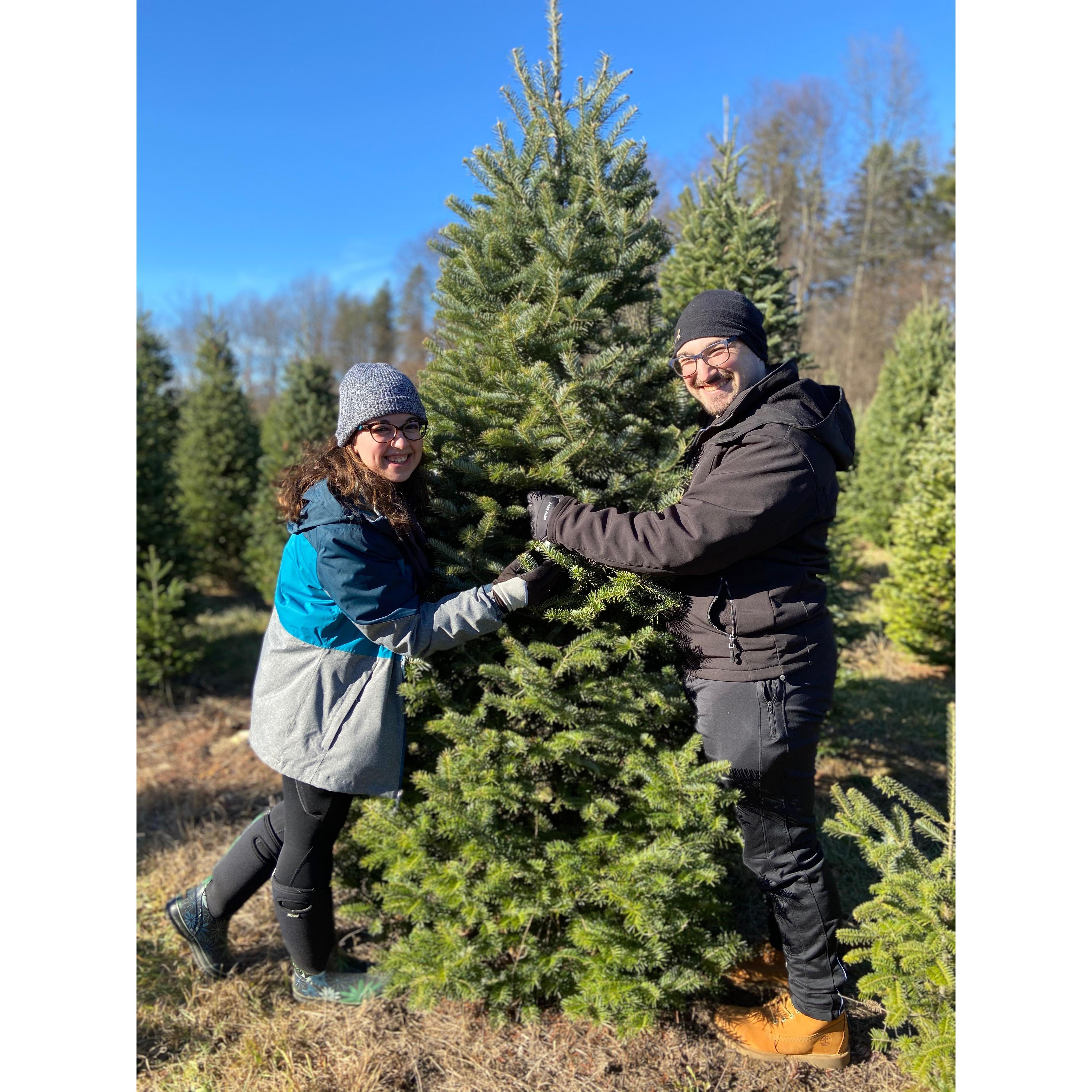 Our First Tree - Christmas 2020