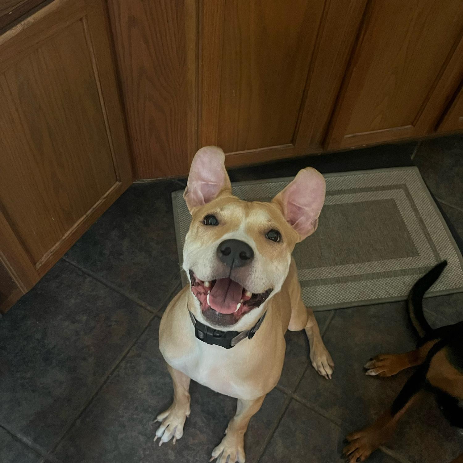 Big ol’ smiles from Moonshine☺️🫶🏽