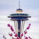 Space Needle