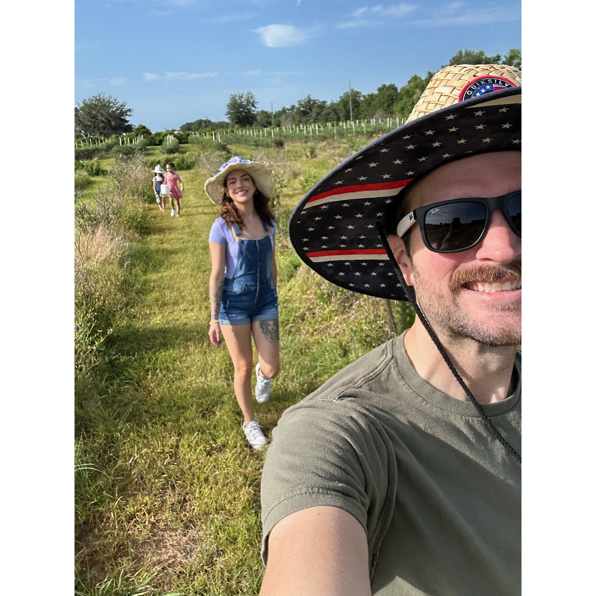 Our first time blueberry picking