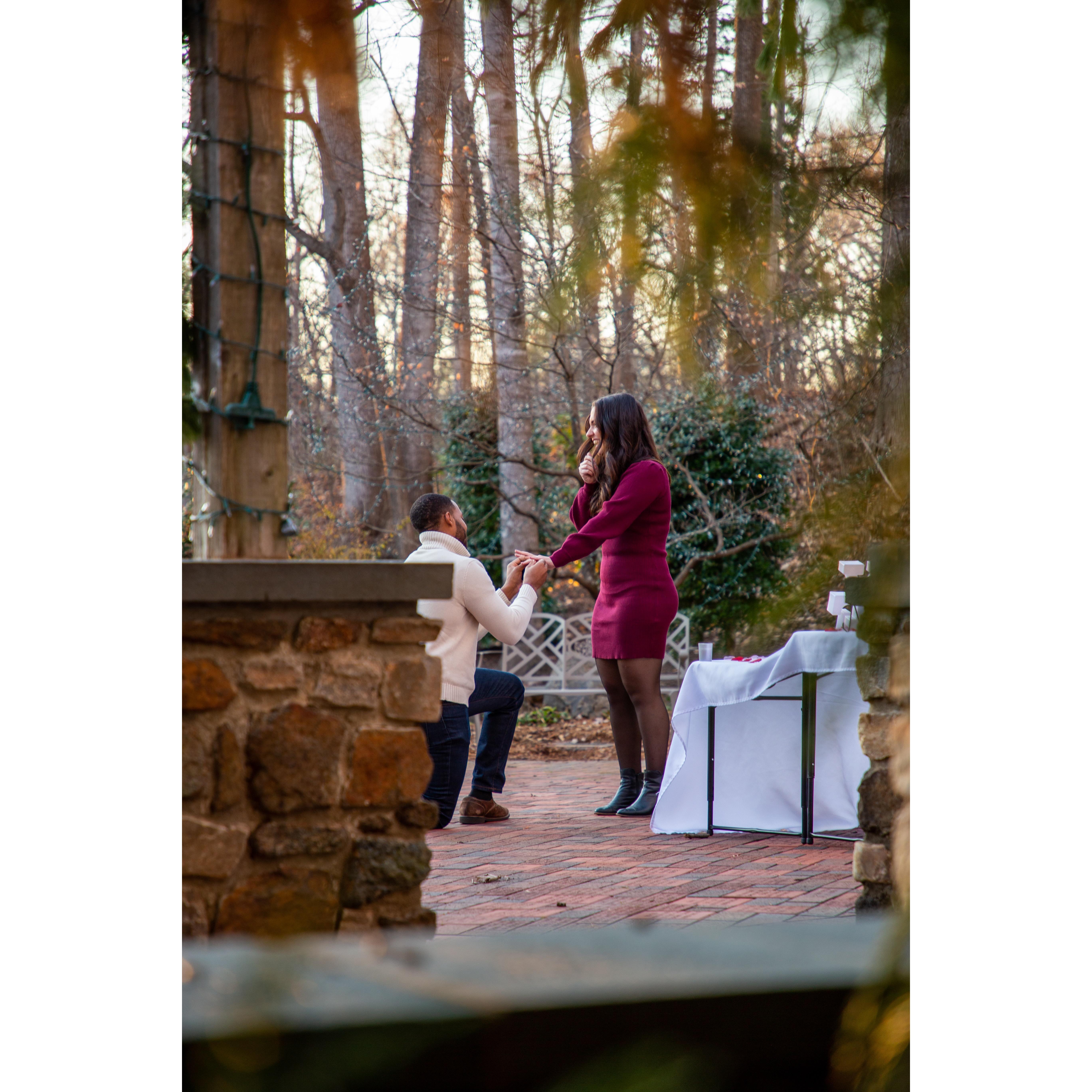 The engagement.