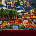 Enjoy Fresh Veggies at the Boulder Farmers Market