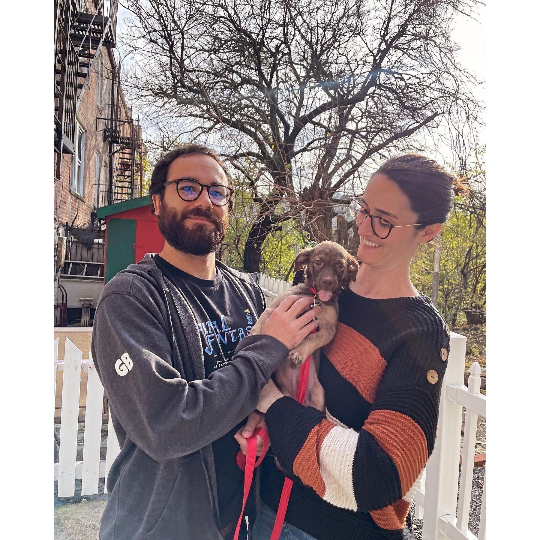 Meet Figgy!! Our new puppy who we adopted in December 2023. We already love him so much :)