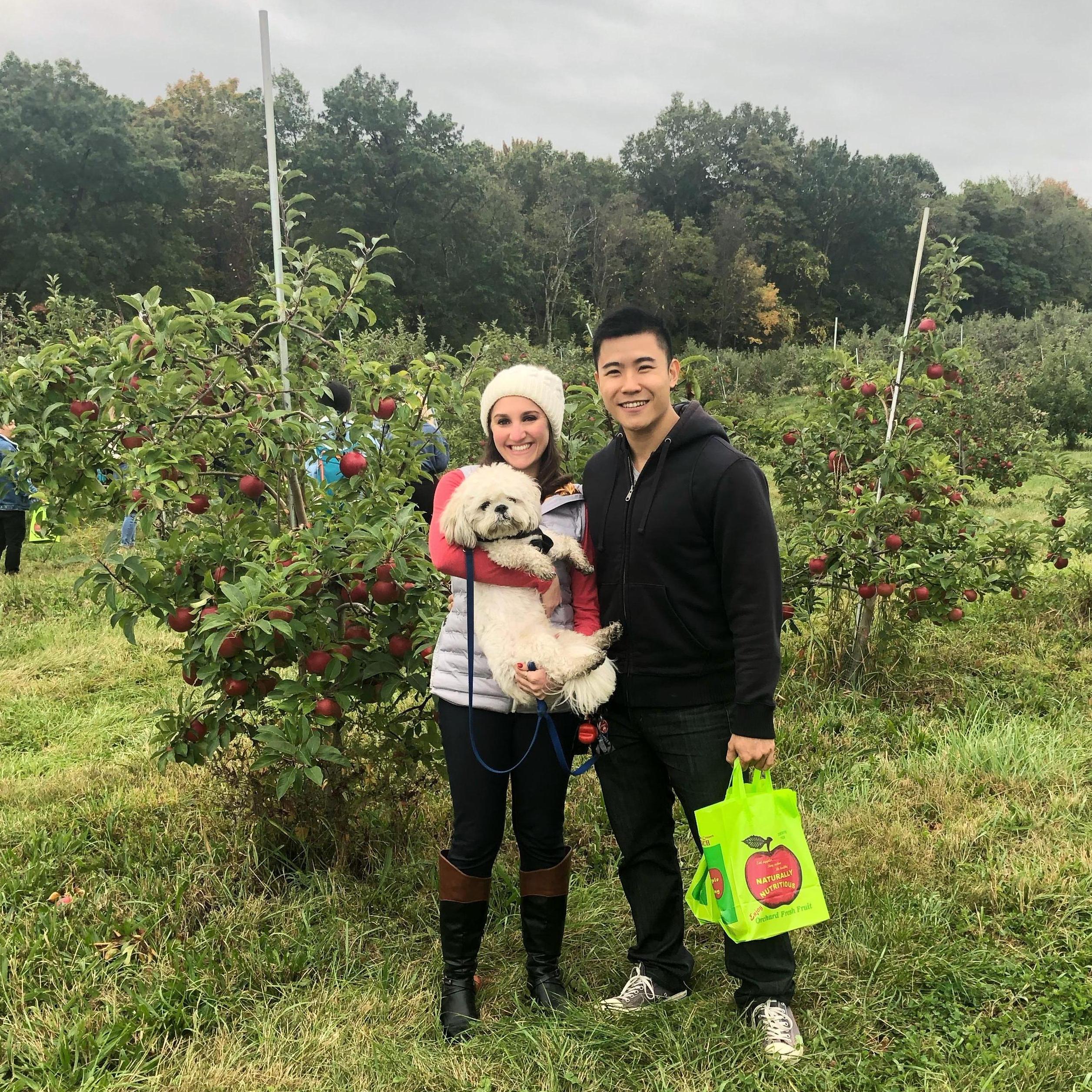 Apple picking