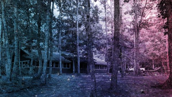 The Wedding Website of Gina Orlando and Jesse Haun