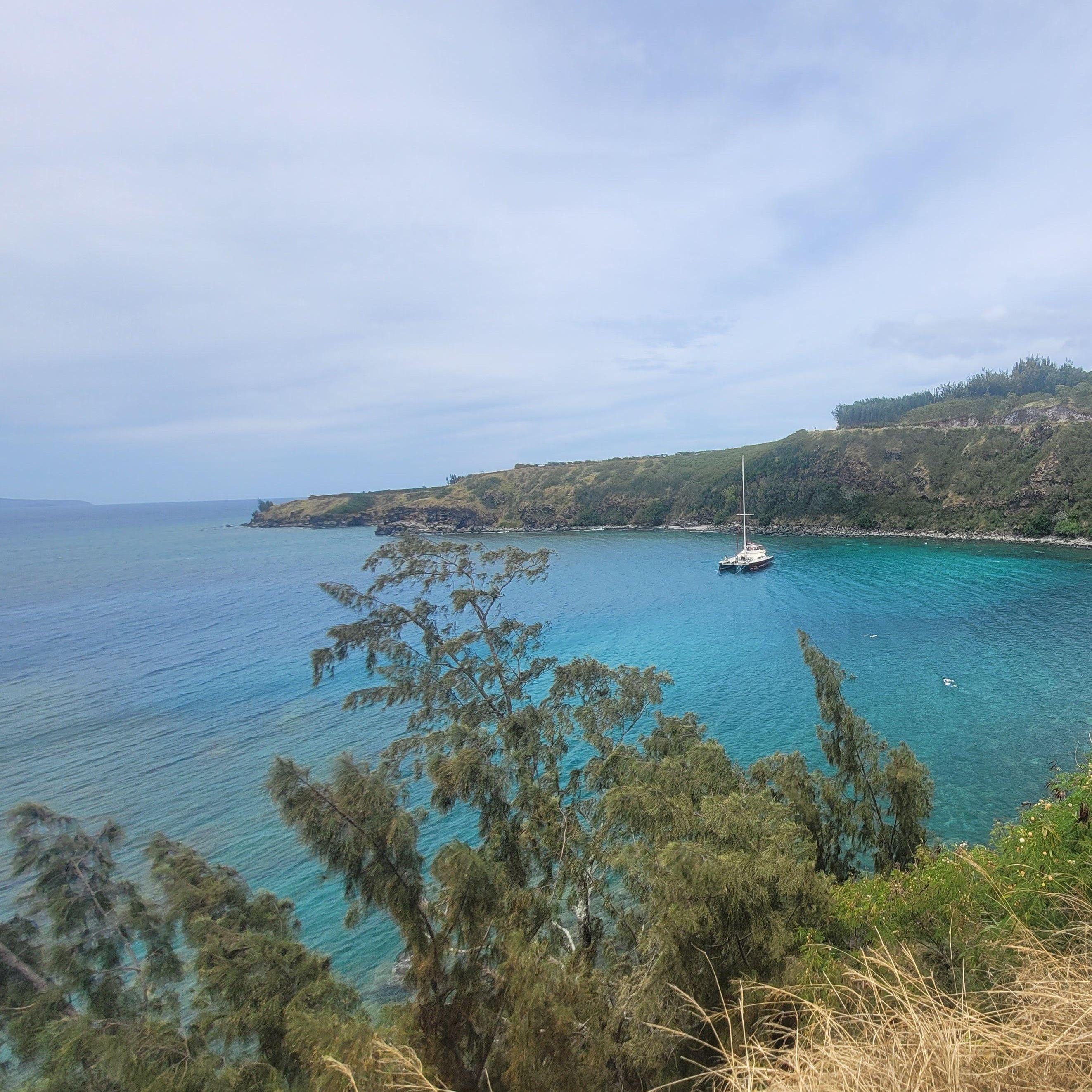 Honolua Bay, 2023