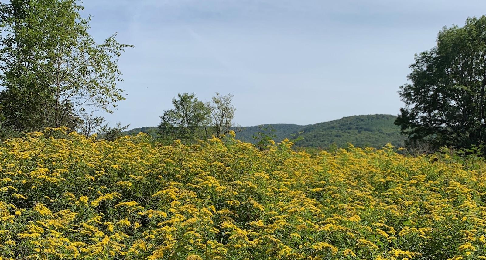 f606d284-ea3e-4f35-98fc-d50ca9bcb3c5