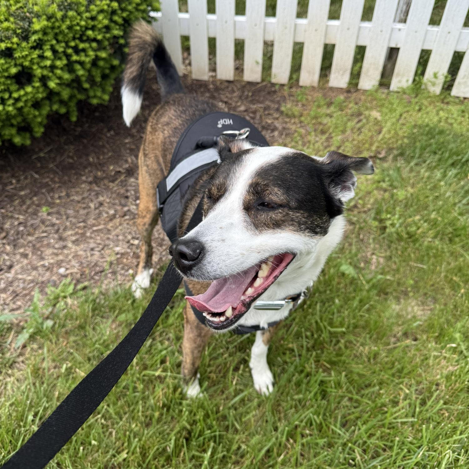 Our girl Daisy May!