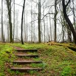 Sandy Creek Nature Center