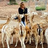 Grand Canyon Deer Farm