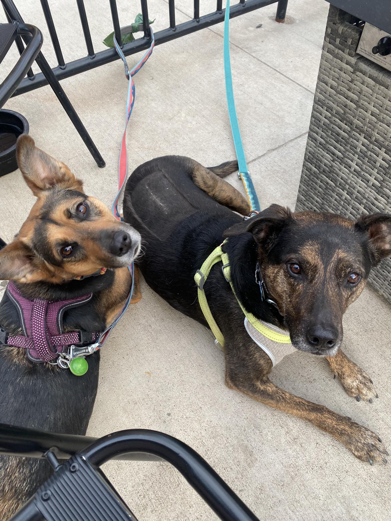 Zoe and Kody