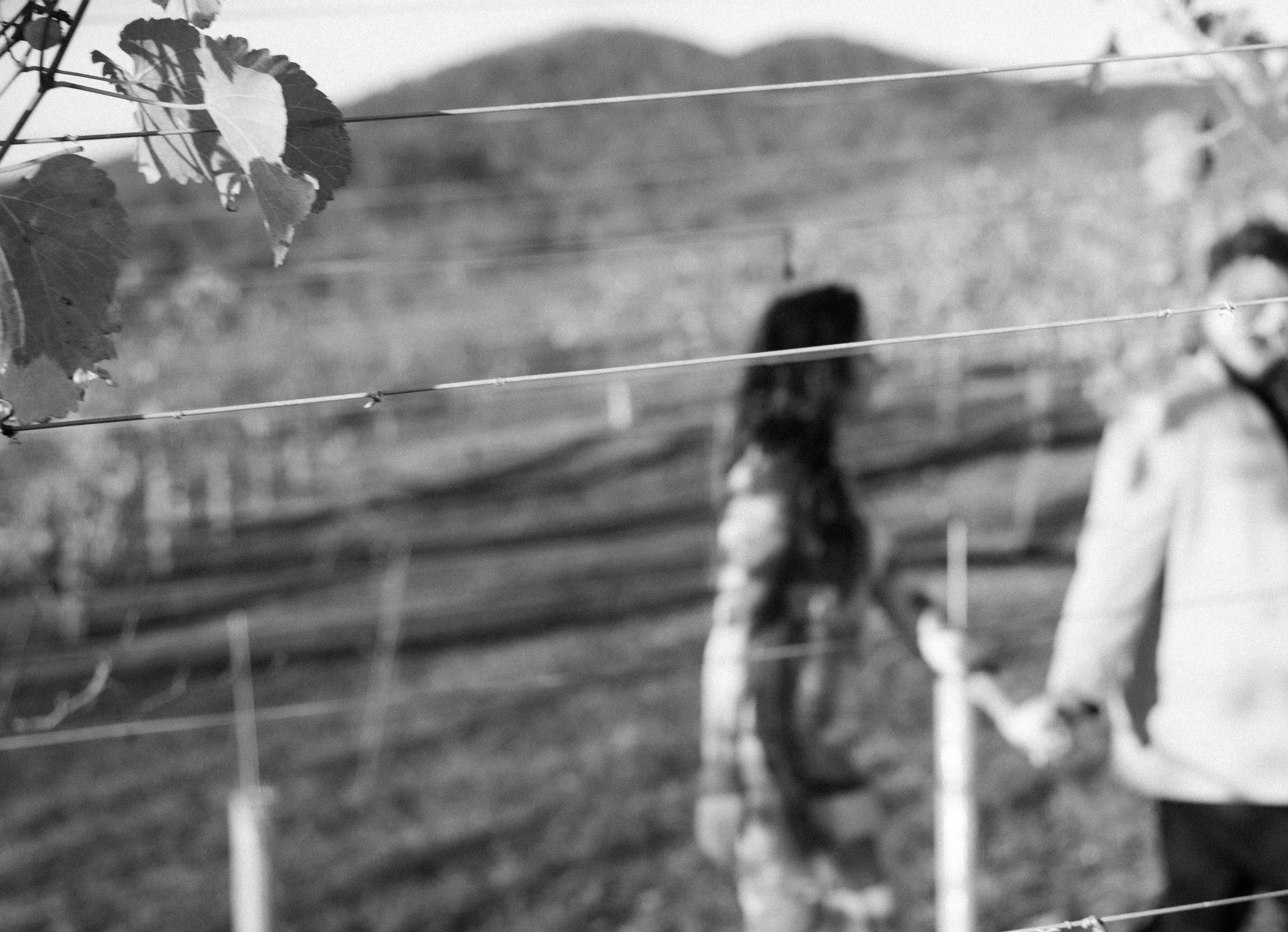 The Wedding Website of Julia Basil and Matthew Faillace