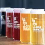 Fly Llama Brewing