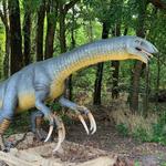 Heard Natural Science Museum & Wildlife Sanctuary