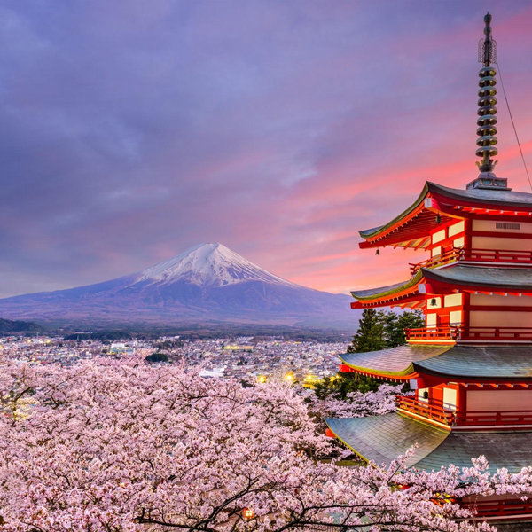 🧧Honeymoon Fund - Japan 💓