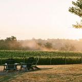 Slater Run Vineyards
