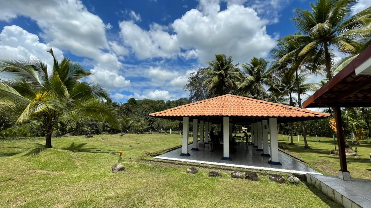 The Wedding Website of Dominique Marin and Joe Arias