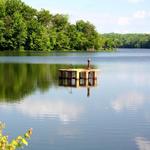 Burke Lake Park
