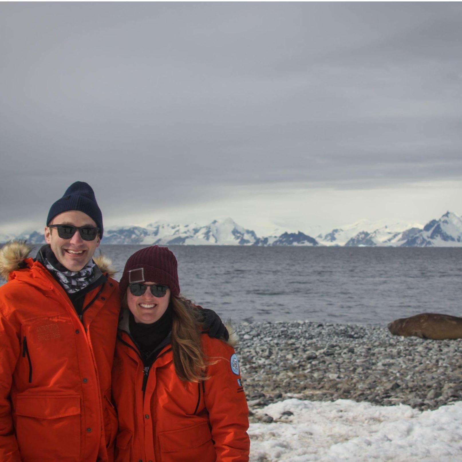 Seal watching in Antarctica