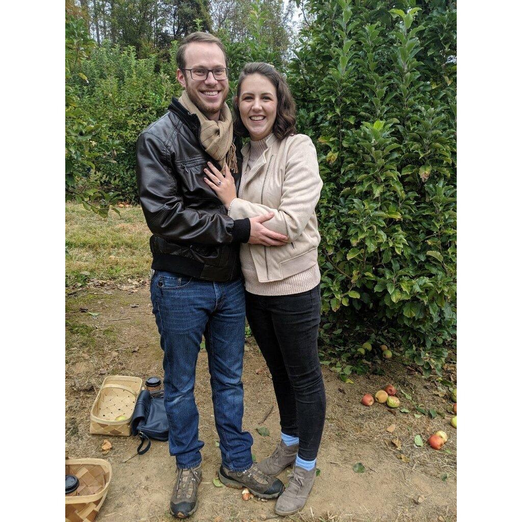 We got engaged while apple picking!