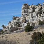Pulpit Rock Trail