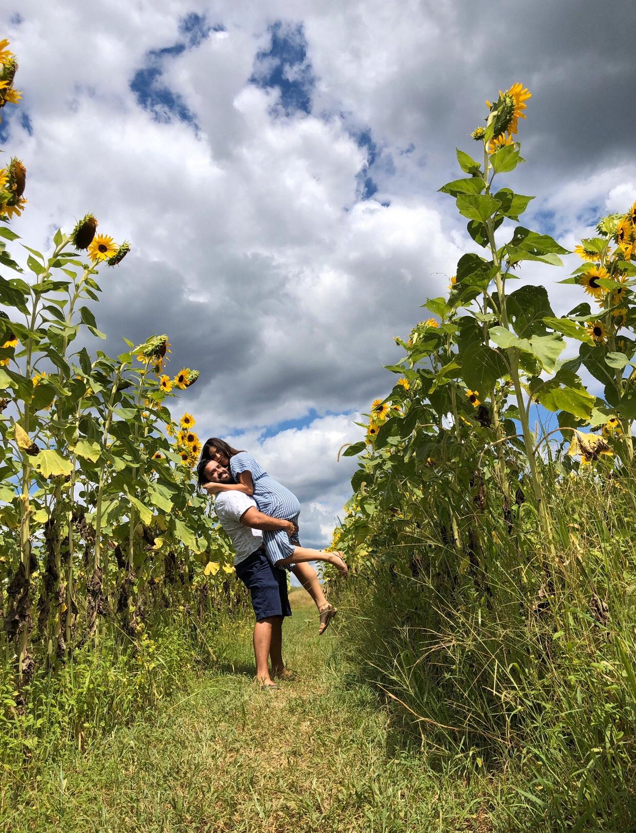 Burnside Farms 2019