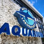 Mote Marine Laboratory & Aquarium