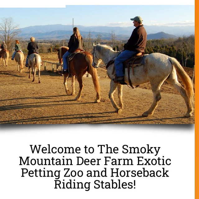 Horseback Riding