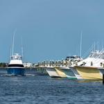 Pirate's Cove Marina