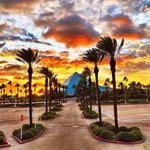 Moody Gardens
