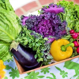 Olivia's Veggie Garden Fund