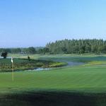 Golf: TPC Tampa Bay