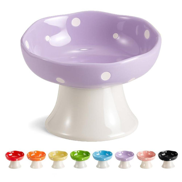 Ceramic Elevated Cat Bowls, Tilted Raised Pet Dish for Indoor Cats, Whisker Friendly Pet Food and Water Bowl for Kitten, Cat, Puppies, Dishwasher Safe (Purple)