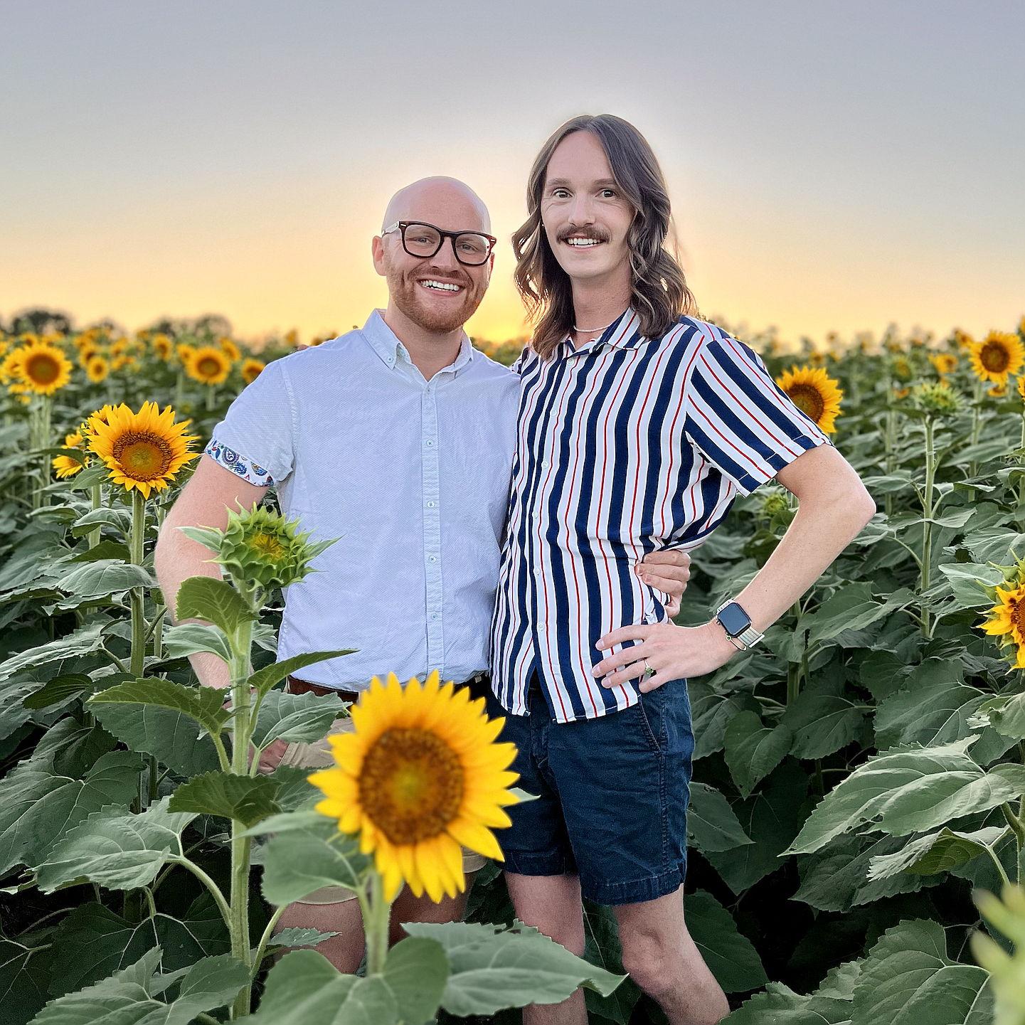 forever visiting the sunflower fields