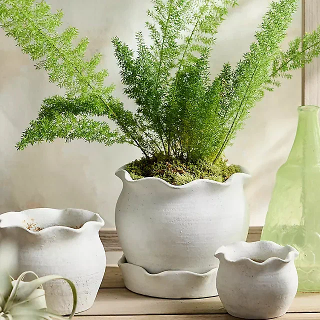 Terracotta Pie Crust Rim Planter, Round