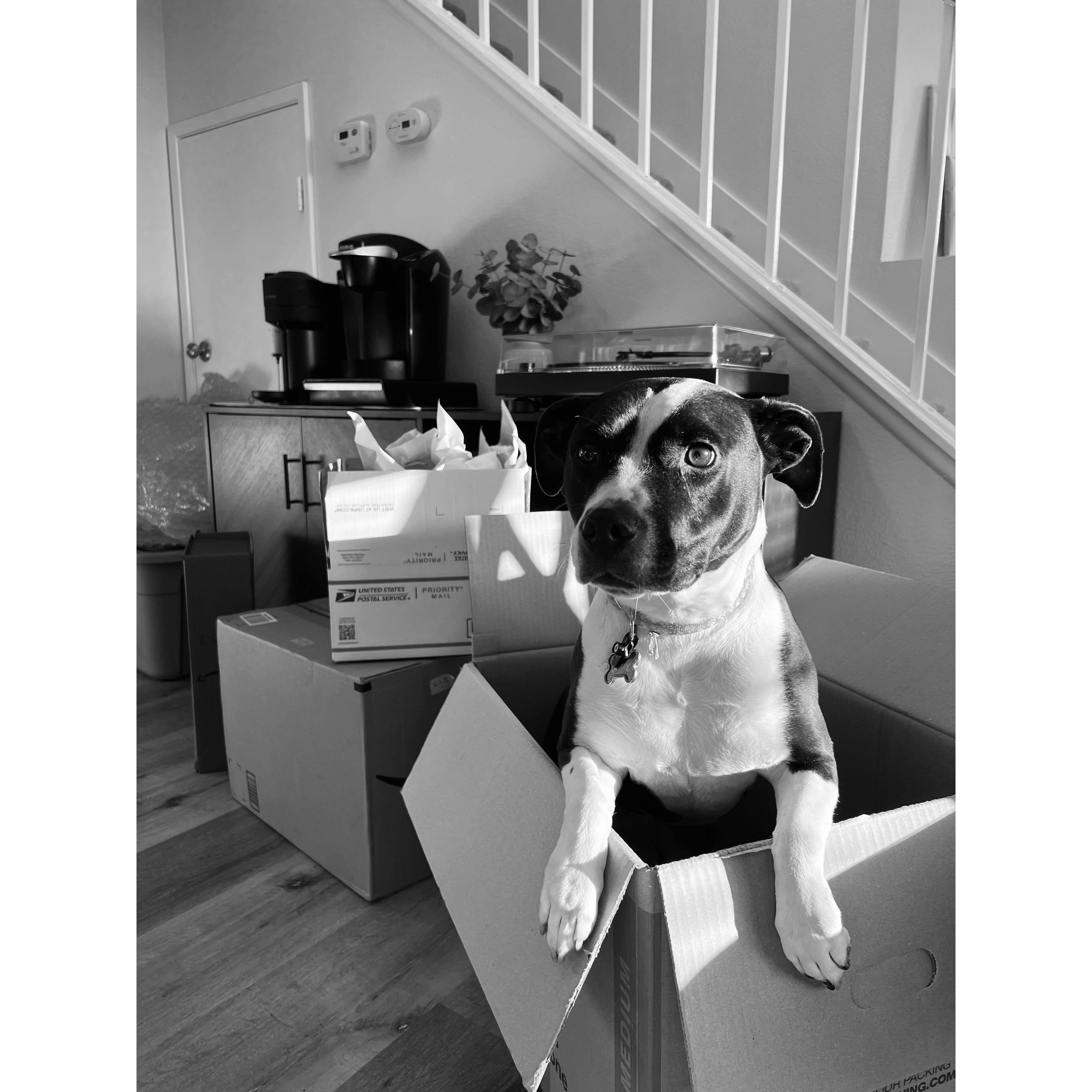 Navy girl when we moved in together in 2023