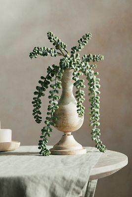 Faux Donkey Tail Fern Pick