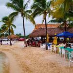 Tiki Bar