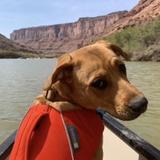 Float the Moab Daily