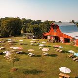 Arrington Vineyards
