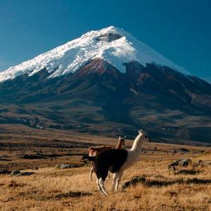 Ecuador Adventure: Honeymoon Fund for Cotopaxi and Galapagos
