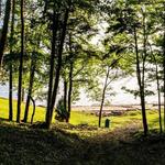 Long Cove Cabins