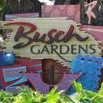 Busch Gardens