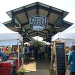 Fall Bluegrass and Harvest Market