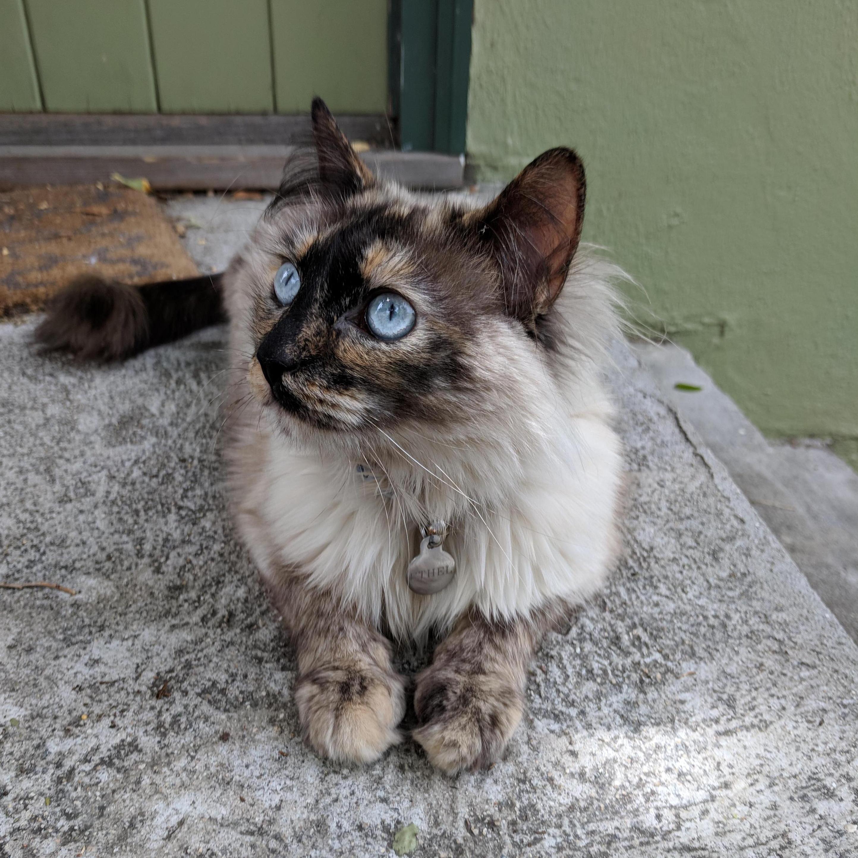 Ethel