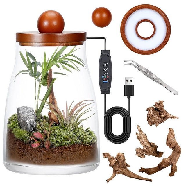 Desktop Glass Plant Terrarium with Grow Light, for Moss, Succulent, Miniature Gardening Landscape, Betta Fish Tank, Desktop Decorations for Home and Office, Plant Lovers Gift (2.7L, H:8.3" D:6.1")